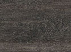 H2790 АКАЦИЯ ТОРФЯНАЯ